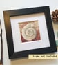 Little ammonite fossil original art miniature, artwork, tiny painting - Image 9