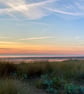 Summer - printed greetings card - Image 3