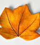 Autumn Leaf trinket and jewellery dish - Image 4