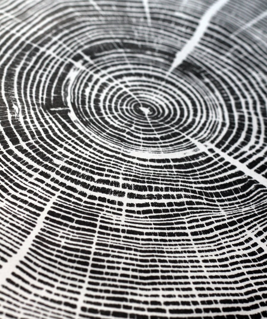 Warwickshire Ash Tree Ring Art Print 50cm diameter in black