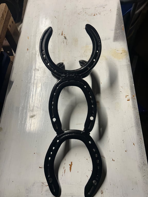 Horse shoe boot remover 
