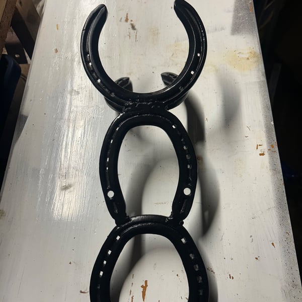 Horse shoe boot remover 