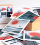 Northern Sun Collection - Box of 12 Small Cards - Image 3