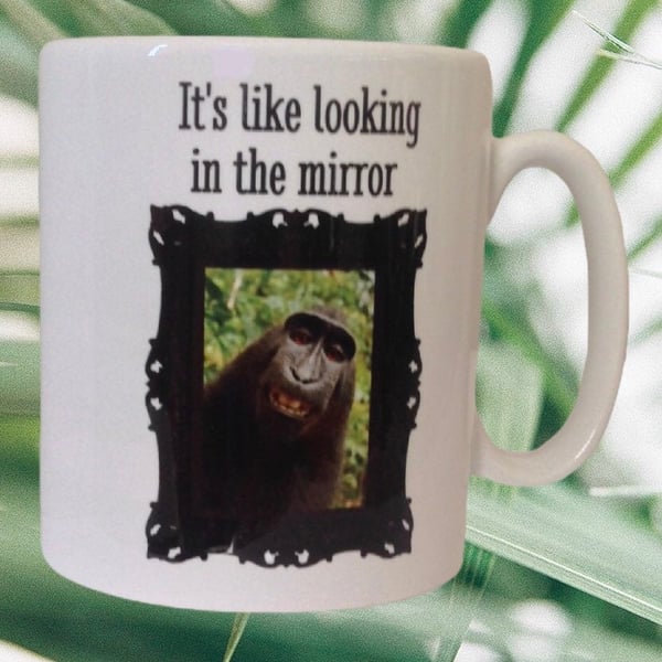 Monkey Mug - It's Like Looking In The Mirror. Funny mugs for Christmas