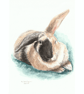 Custom A5 Pet Portrait WATERCOLOUR PAINTING - Image 4