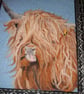 Needle felted  Highland Cow picture  Portrait
