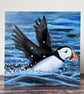 Puffin Card