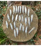 The Wisdom of Birds - Image 2
