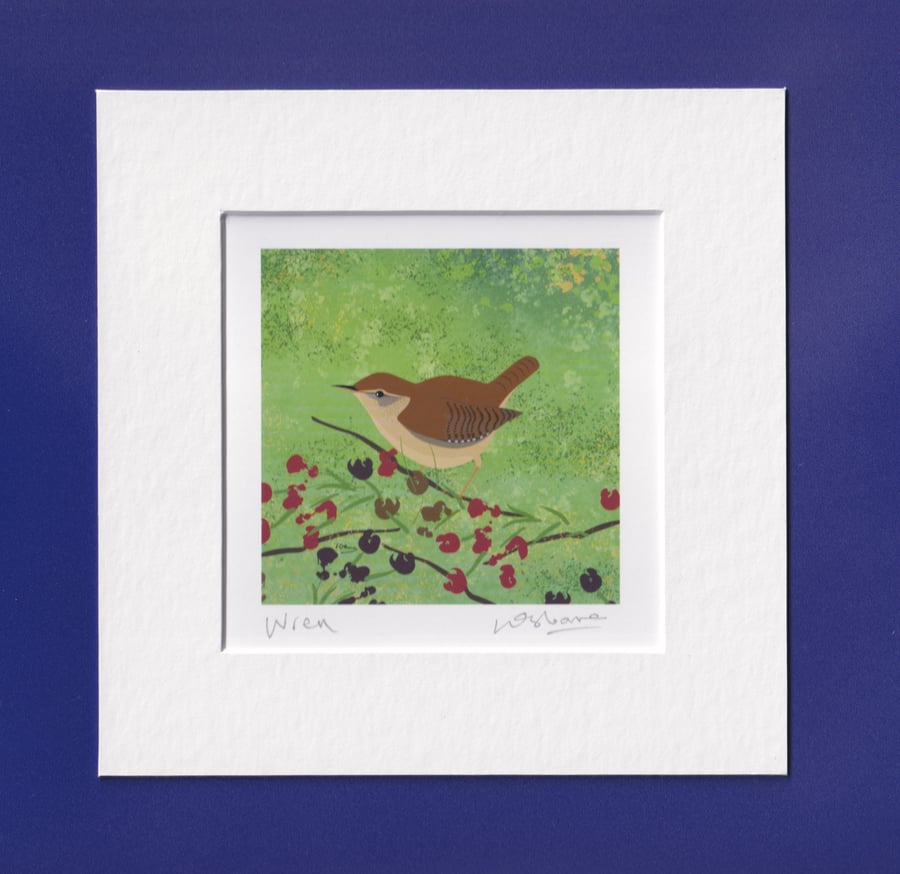Wren - bird print from digital illustration