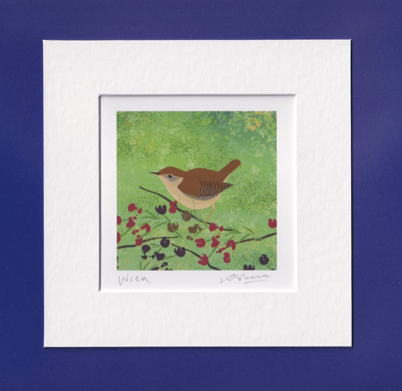 Wren - bird print from digital illustration