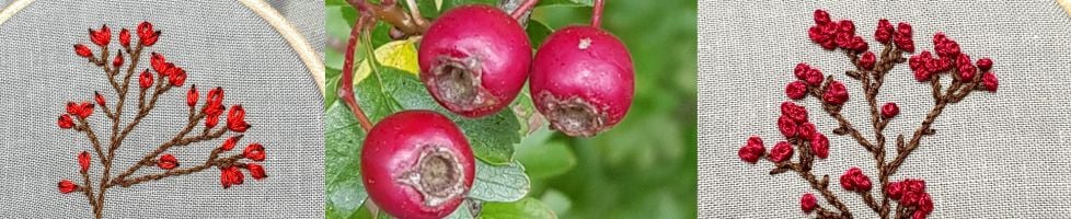 Sweet Thorn