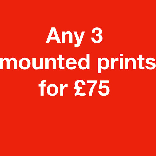 ANY 3 mounted prints for seventy five pounds FREE DELIVERY