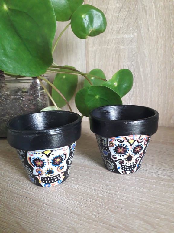 A pair of small terracotta plant pots handpainted with sugar skulls.  