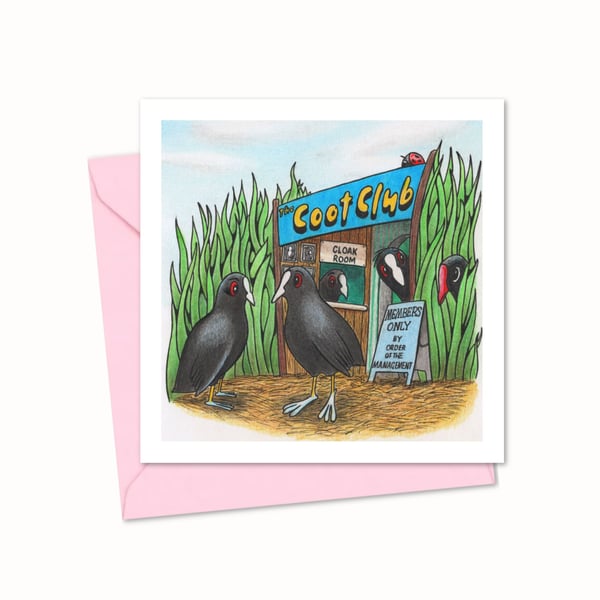 Funny Birds Greeting Card with a Cute Hand Drawn Coots Illustration (222)