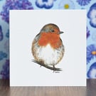 Robin Blank Card