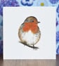 Robin Blank Card