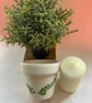 Customisable Hand Painted Plant Pot - Ivory Base With Decorative Foliage - Image 2