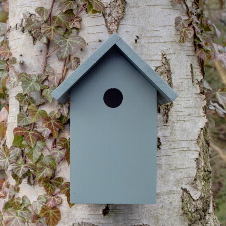 Bird Box in Wild Thyme.