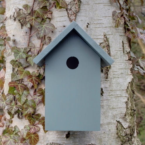 Bird Box in Wild Thyme.