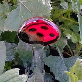 Fused Glass Ladybird Garden Stake, Garden Decorations