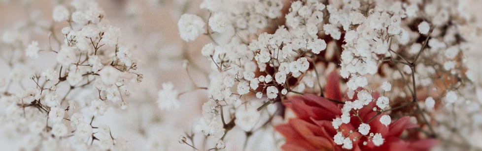 Woodside Cottage Flowers