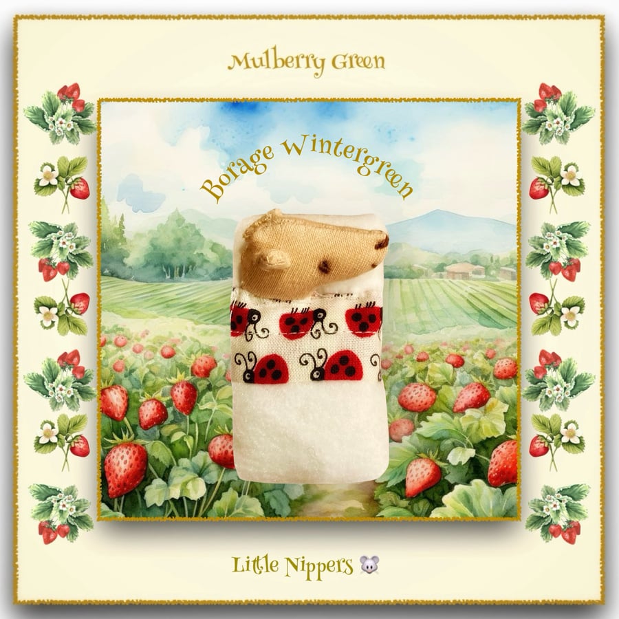 Borage Wintergreen - a Baby Pip Squeak from Mulberry Green 