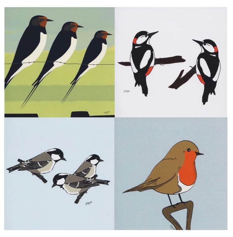 Bird greeting cards - pack of 4