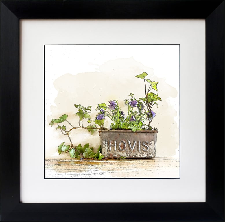 Hovis Tin With Pansy & Ivy Fine Art Print