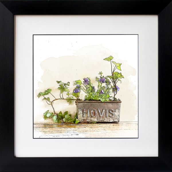 Hovis Tin With Pansy & Ivy Fine Art Print