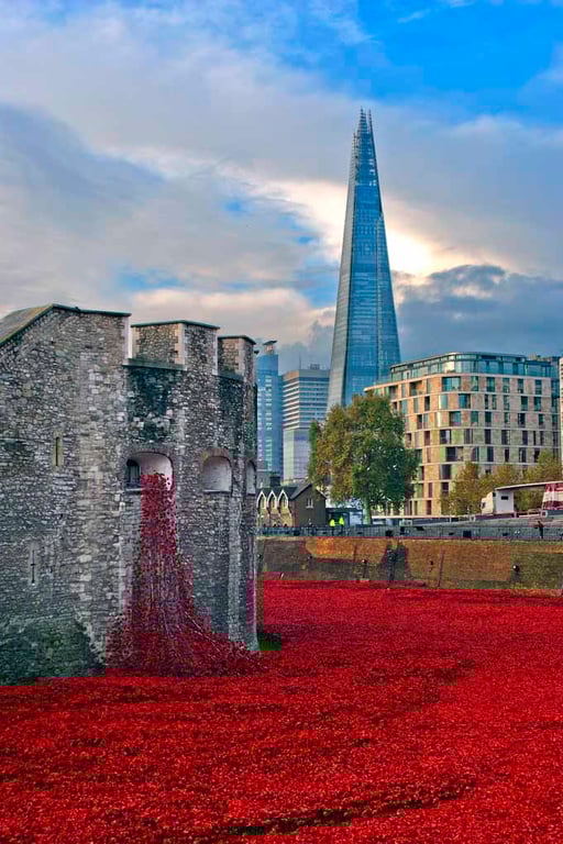 Tower of London Red Poppies England UK 12"x18" Print