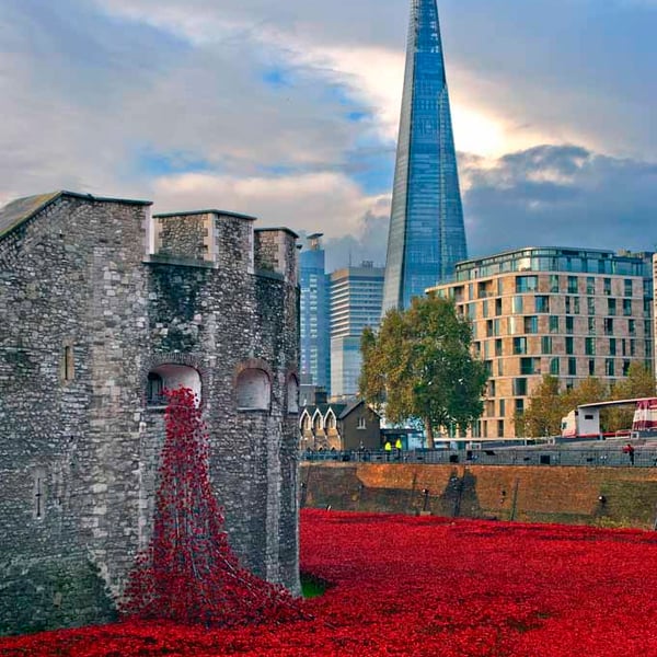 Tower of London Red Poppies England UK 12"x18" Print