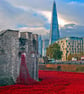 Tower of London Red Poppies England UK 12"x18" Print - Image 1