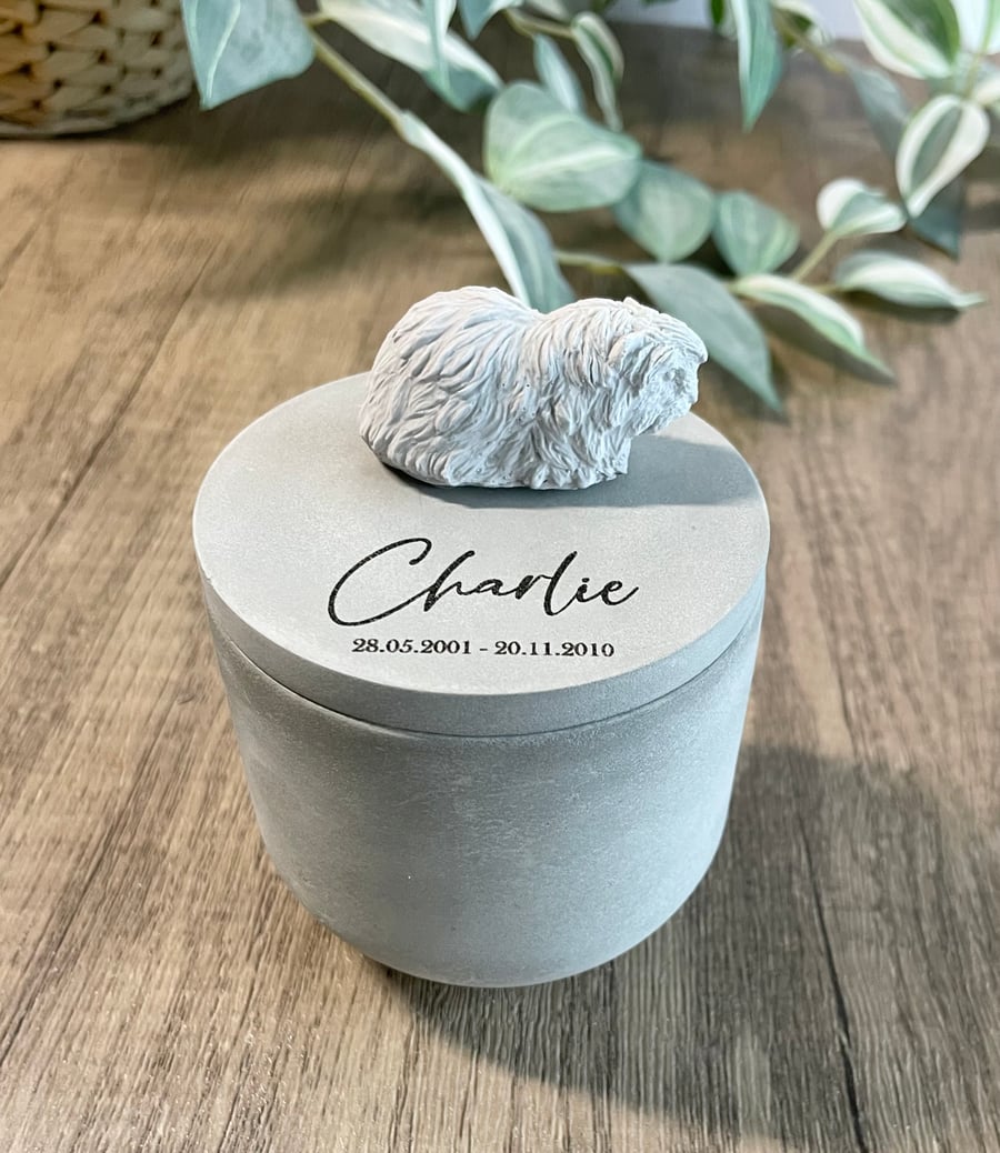 Small personalised concrete Guinea pig urn