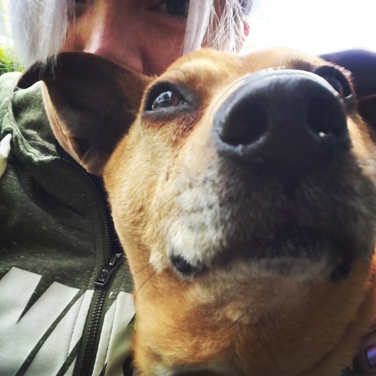 The Argentum Design Company