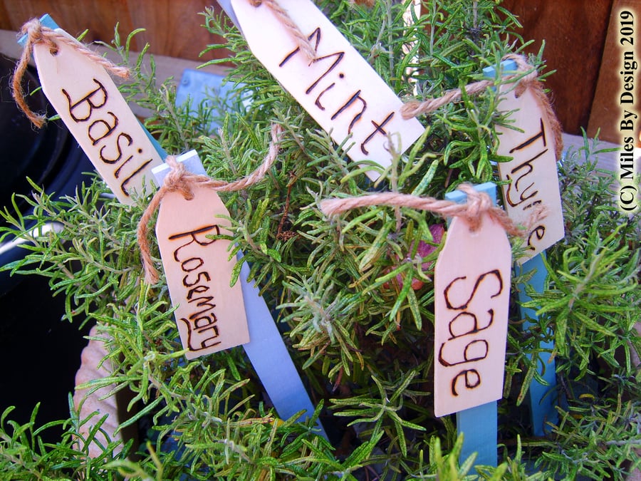 Set of 5 Wooden Herb Plant Markers