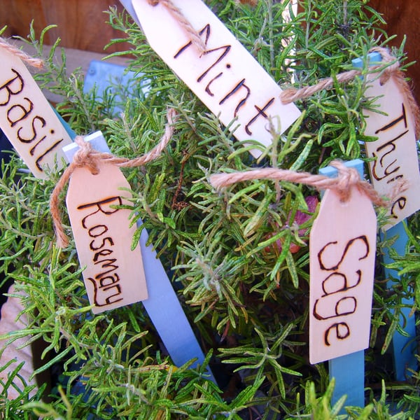 Set of 5 Wooden Herb Plant Markers