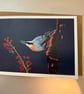 Nuthatch A5 Greeting Card 