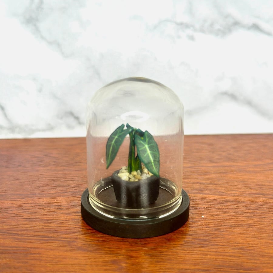 Handmade Miniature Frydek Plant in a bell jar, 1:12 Dollhouse plant