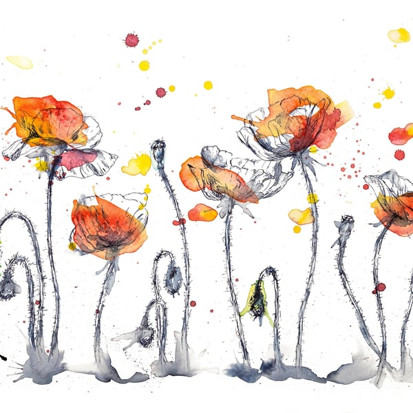 Red Poppies watercolour print, flower painting, ink drawing
