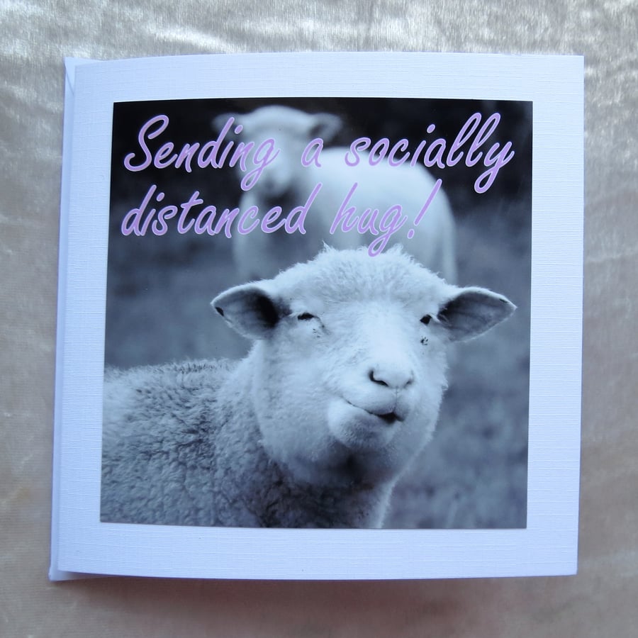 Sending a socially distanced hug. Support card. Sheep card.