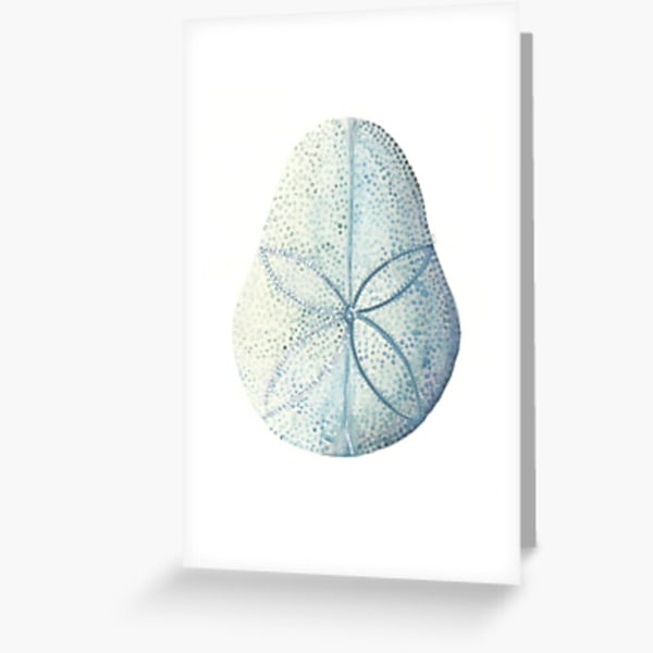 Seconds - sand dollar urchin blank greeting card, notecard, art card