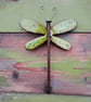 Dragonfly  - Image 7