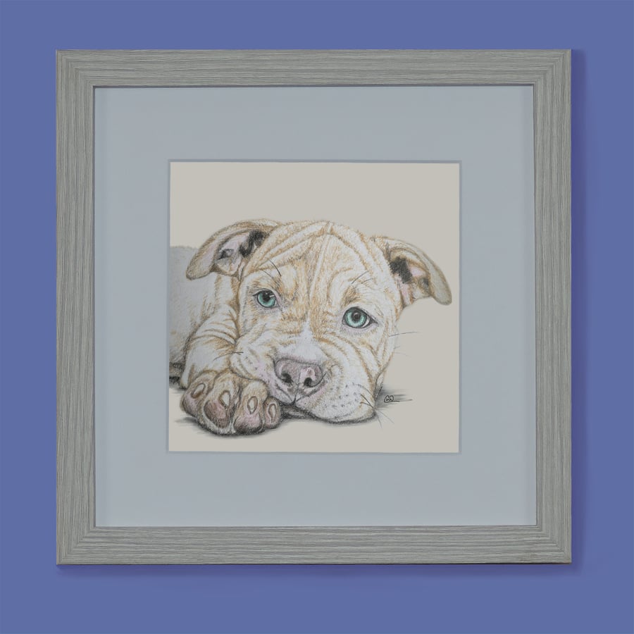 Blue Eyed Dog Fine Art Print 6x6"