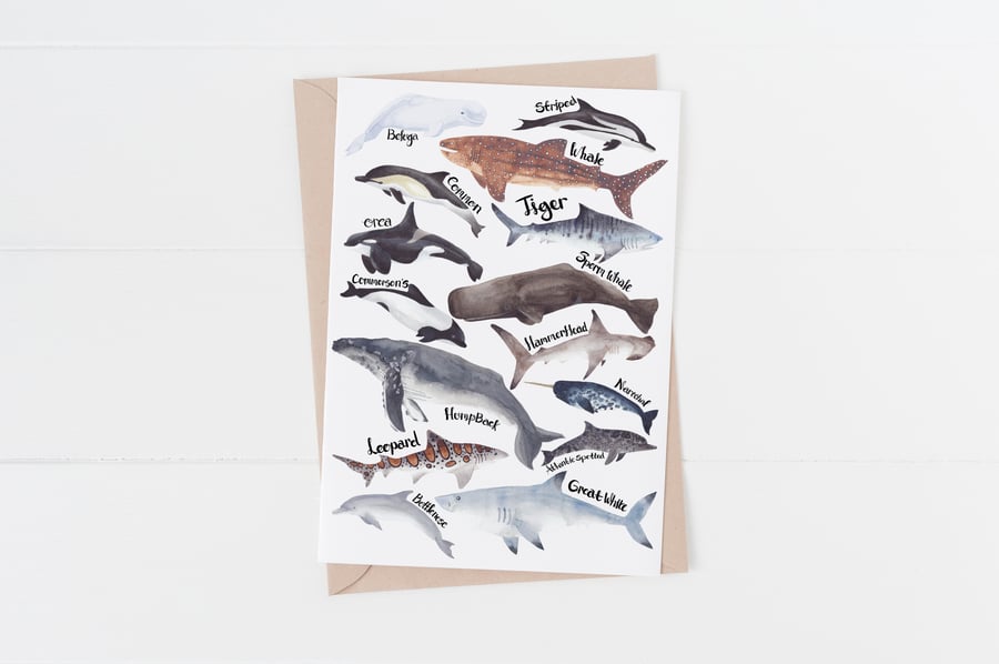 Whales, sharks and dolphins watercolour card