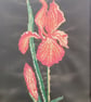 Flowers  - Image 4