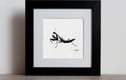 Original animal drawings