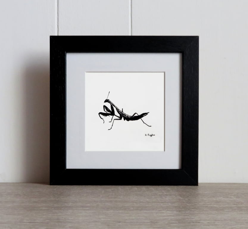 Praying Mantis original charcoal sketch, original art, charcoal drawing, pencil 