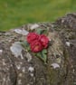 Handmade Felted Wool Brooch – Red Floral Design (11 cm) - Image 3