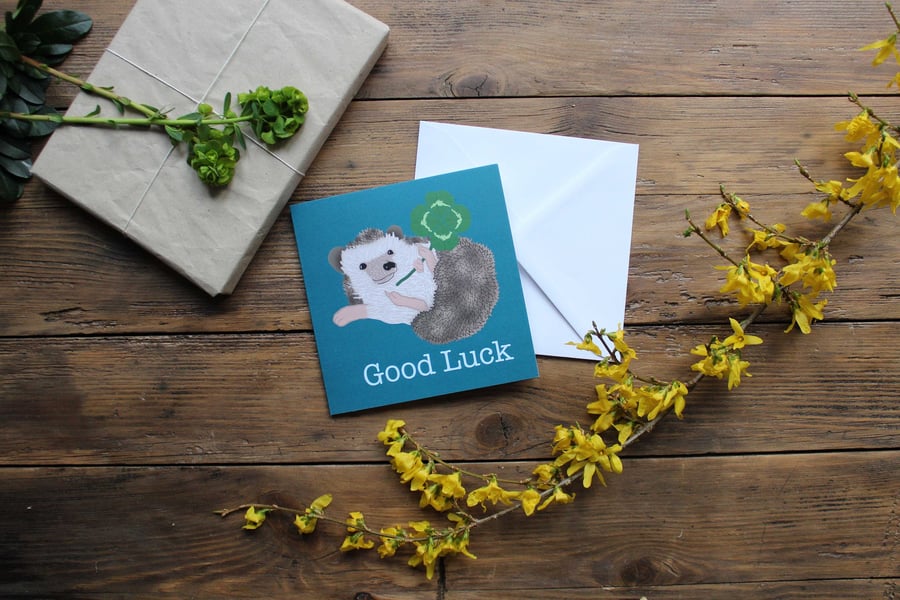 Lucky hedgehog Card