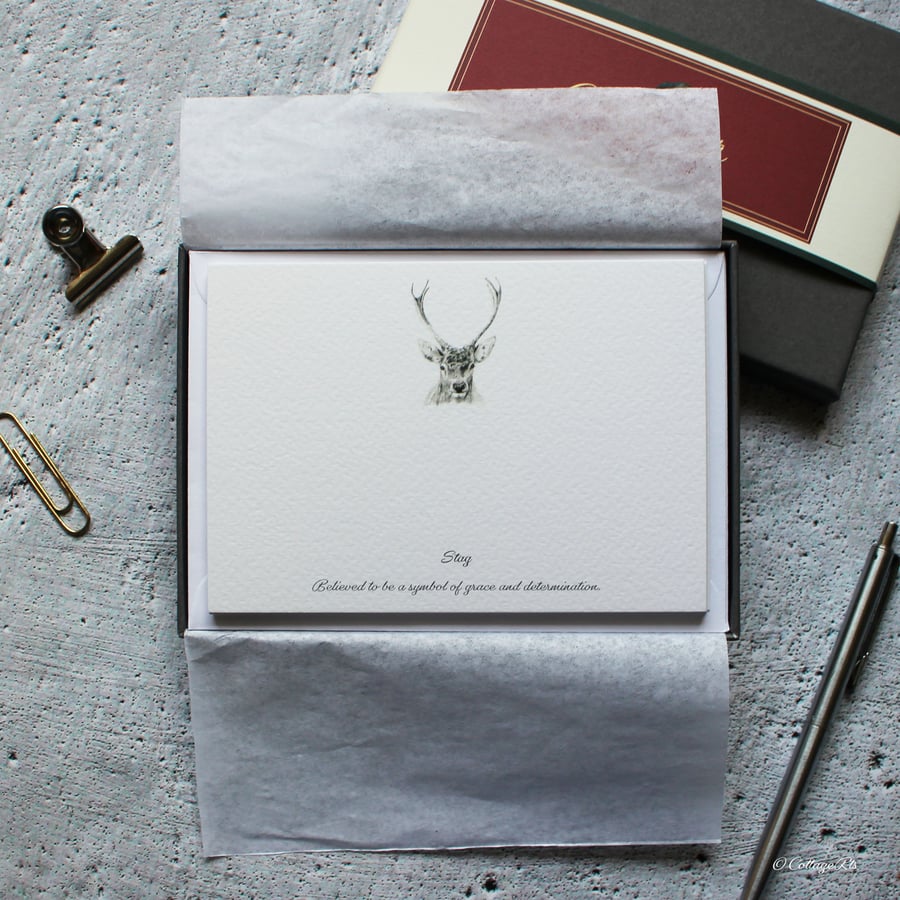 Stag Deer Correspondence Cards in Gift Box Hand Designed By CottageRts 